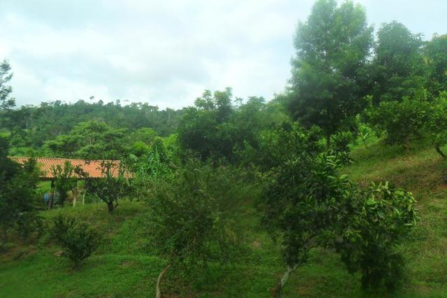 Fazendinha 4.8 alqueires em são roque es, aceita permuta. - Foto 20