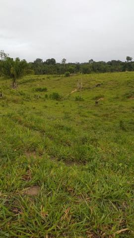 Fazenda - Foto 4