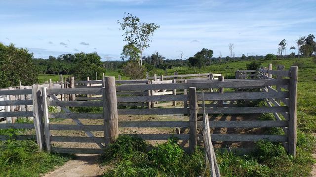 Fazenda