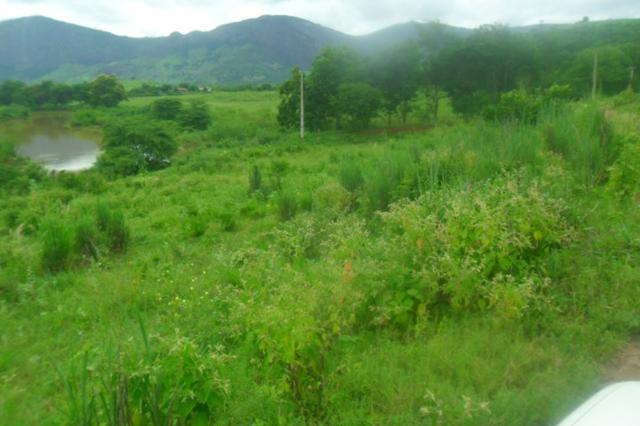 Fazenda 35 alqueires baixo guandu es - Foto 19