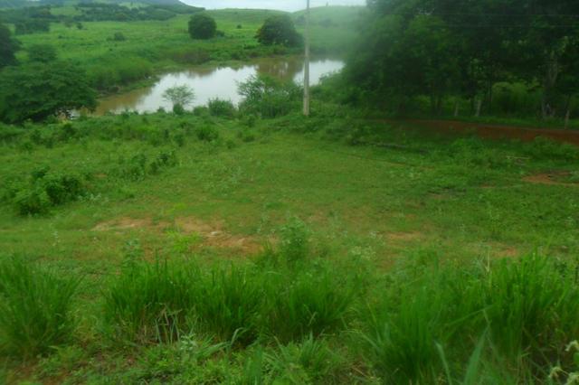 Fazenda 35 alqueires baixo guandu es - Foto 20