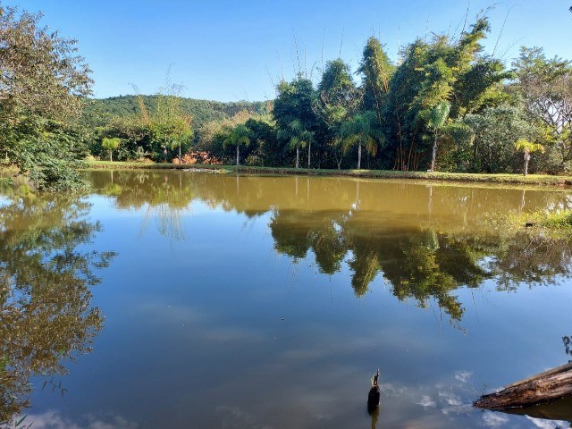 Sorocaba Região Lindo Sítio 6 Alqueires  - Foto 4