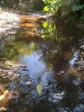 Chácara em varjao  - Foto 3