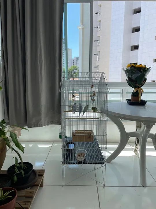 GAIOLA GRANDE para pássaro 