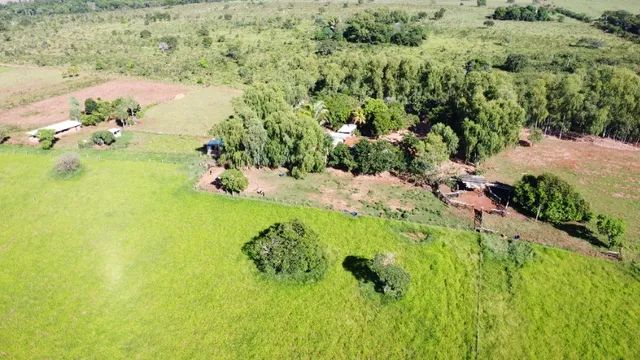 Chácara 28 Hectares com córrego, em Jaraguari-MS! - Foto 4
