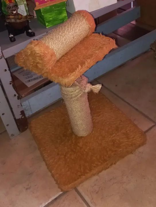 Decoração - Foto 5
