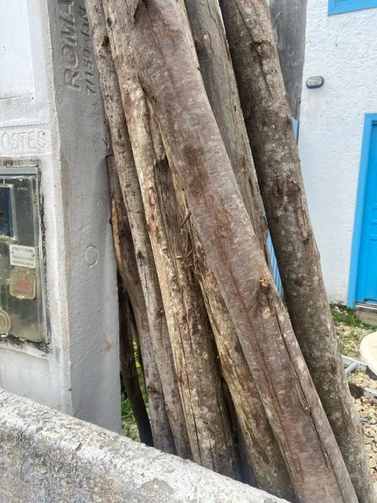 Escoras - 15 baratas - Foto 2