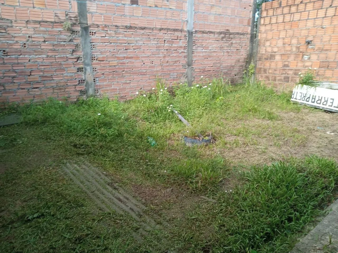 Serviços  - Foto 3