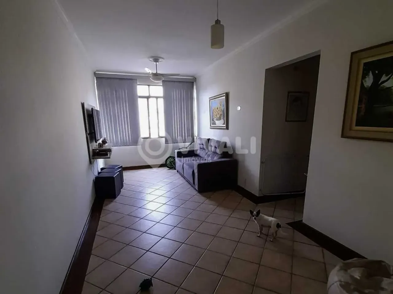 Apartamento - / Residencial / Vila João Jorge