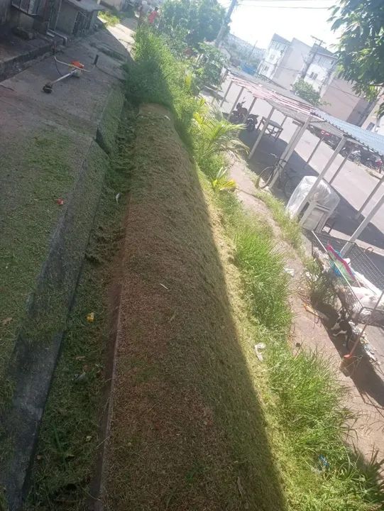 Serviços  - Foto 5