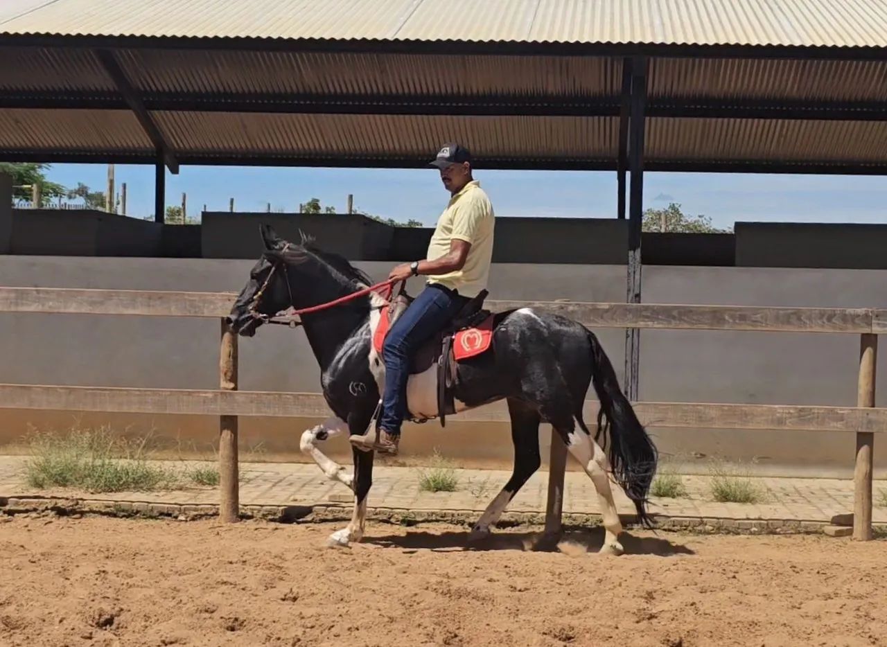 Coberturas - Preto Pampa Marcha Picada - Foto 5