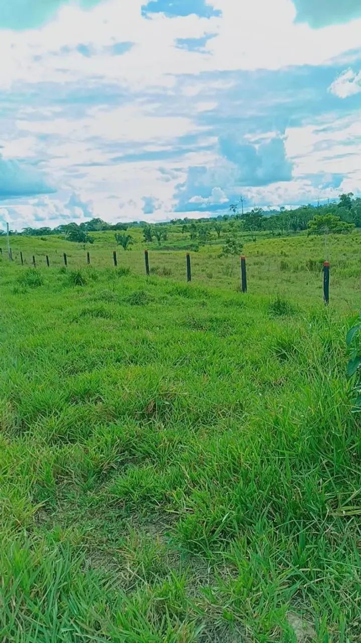 Terra a venda 
