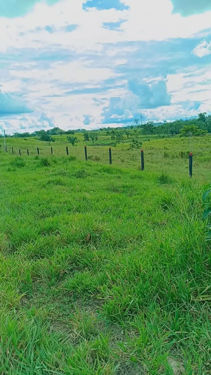 Terra a venda