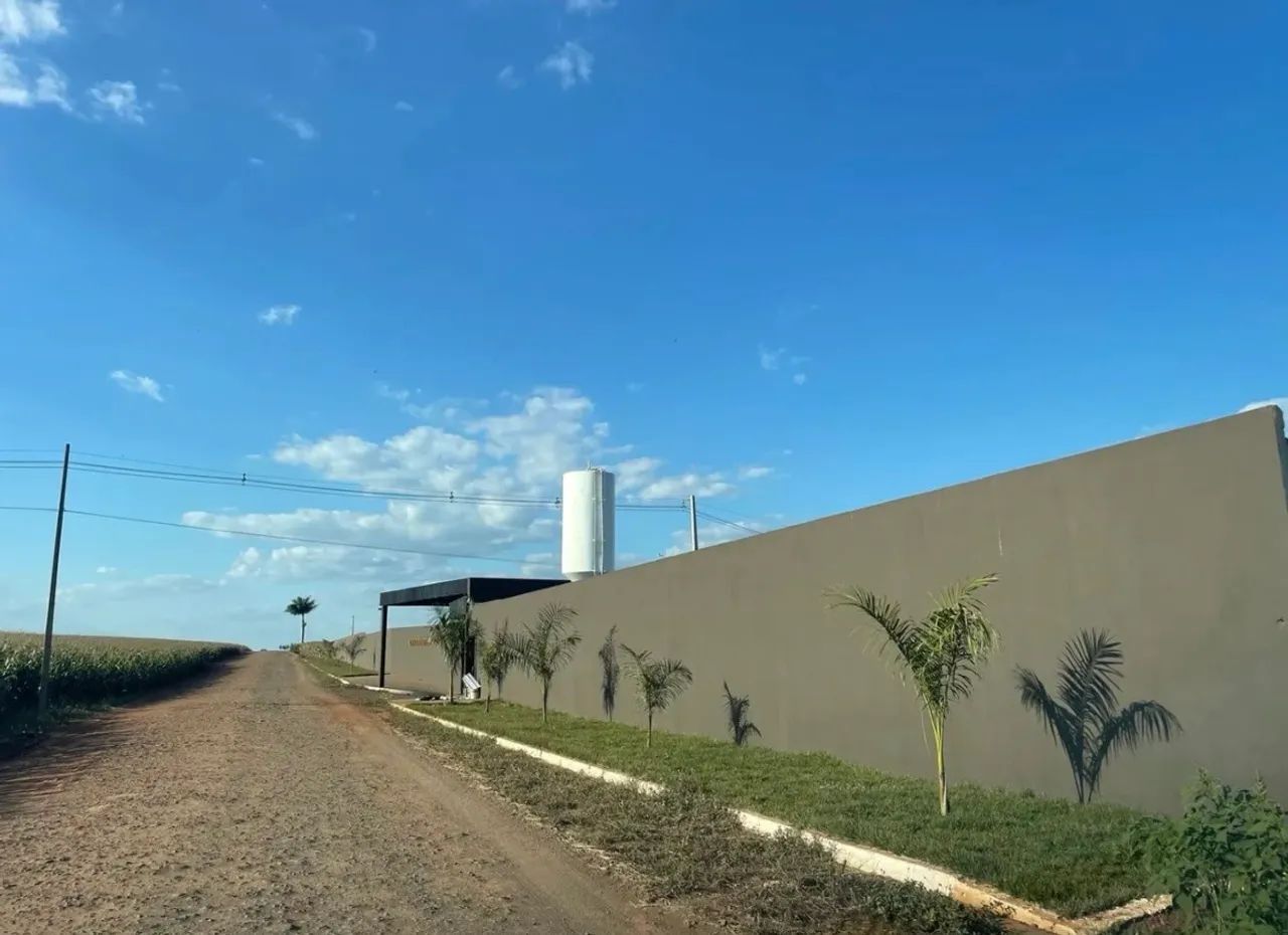 Foto - Londrina - Aurora