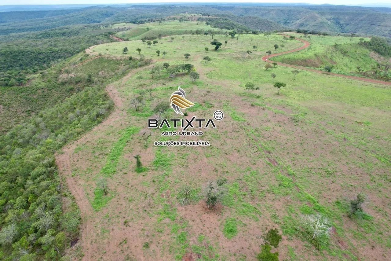 Fazenda de 32 alqueires, 50 km de Palmas