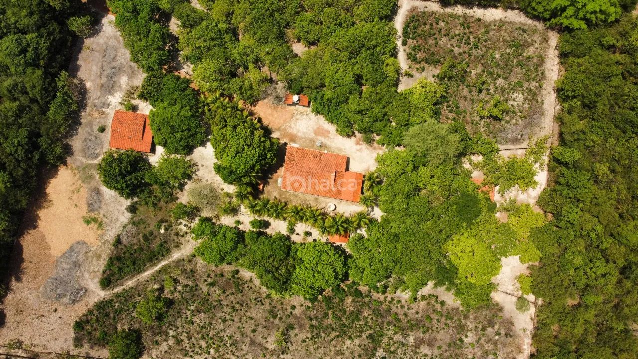 Sítio/Chácara à venda, no bairro Zona Rural, Campo Maior/PI
