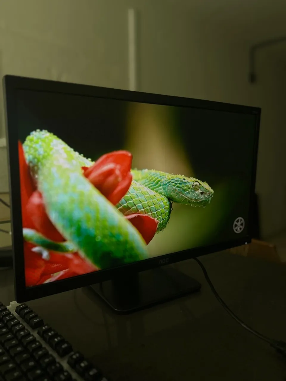 Monitor Gamer AOC - Imagem Incrível!