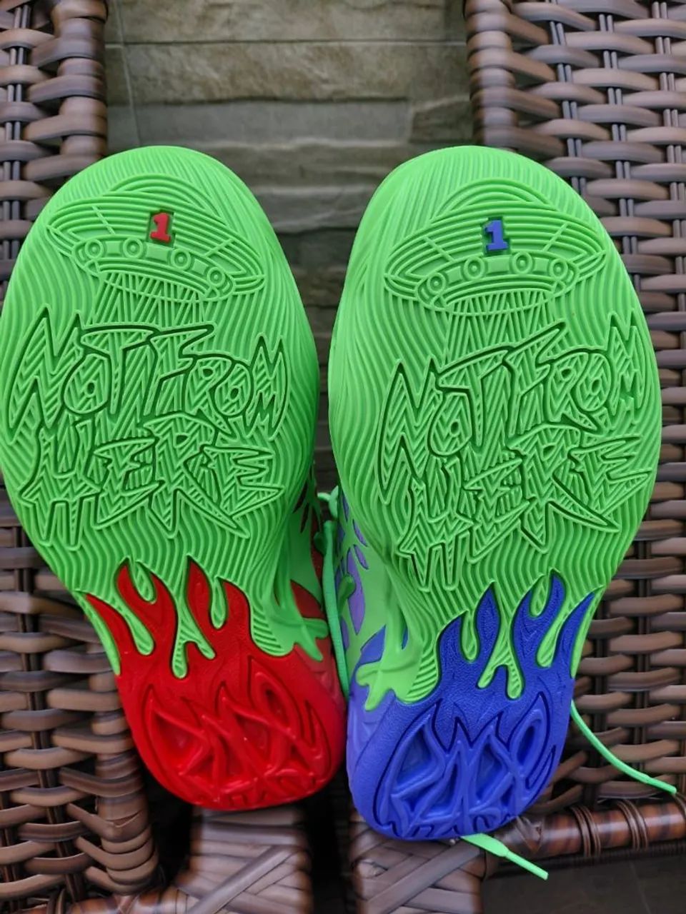 Puma turtle - Foto 3