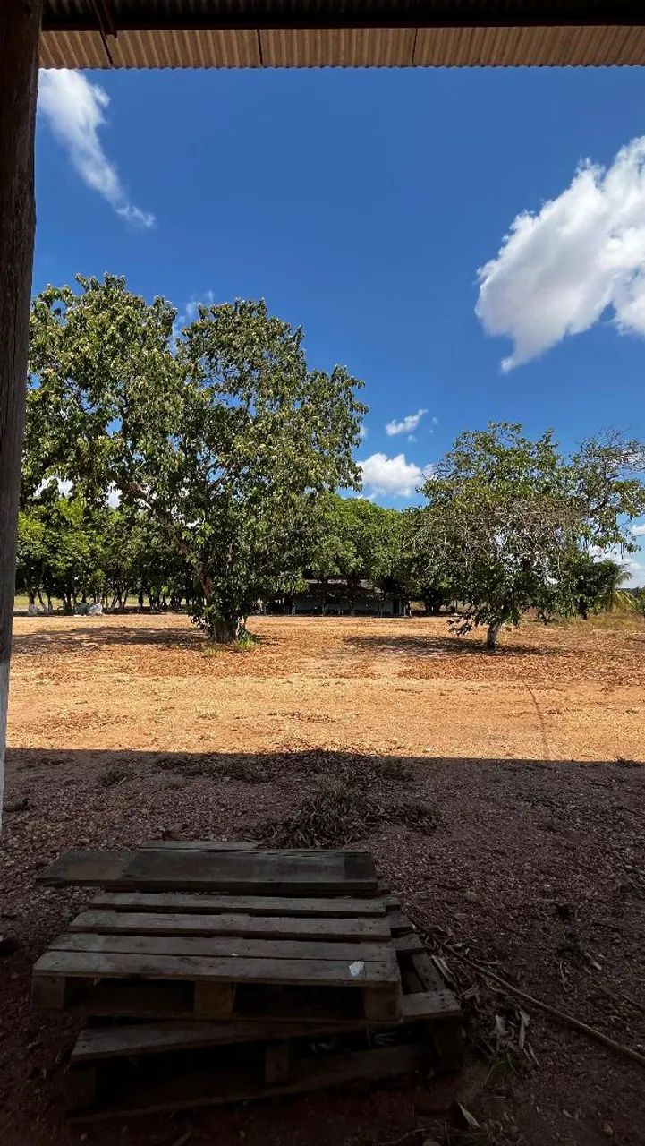 Fazenda arrendamento 630 hec em nova Motum MT. - Foto 2