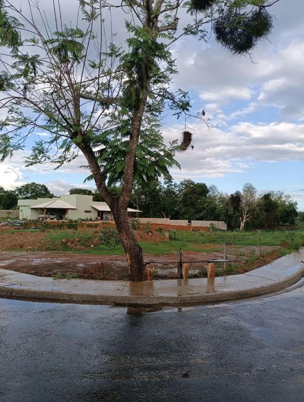 Terreno a venda no colibri