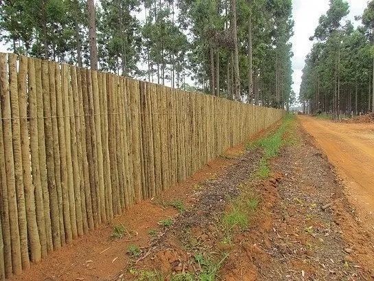 mourão tratado para cerca com 2,20 cms de 6 x 4 cms 