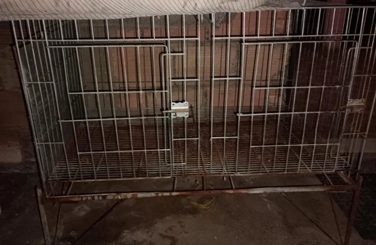 Gaiola de Metal para Animais - Foto 2