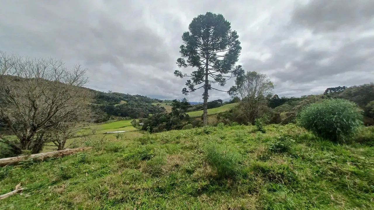 Fazenda/Sítio/Chácara para venda possui 20000 metros quadrados em Pedra Branca - Alfredo W - Foto 8