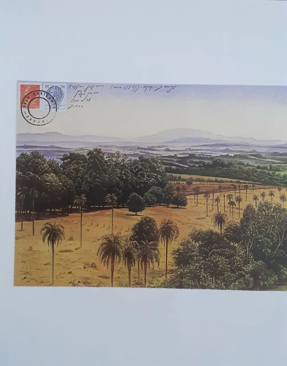 Mário Zanelli, artista plástico mineiro  - Foto 5