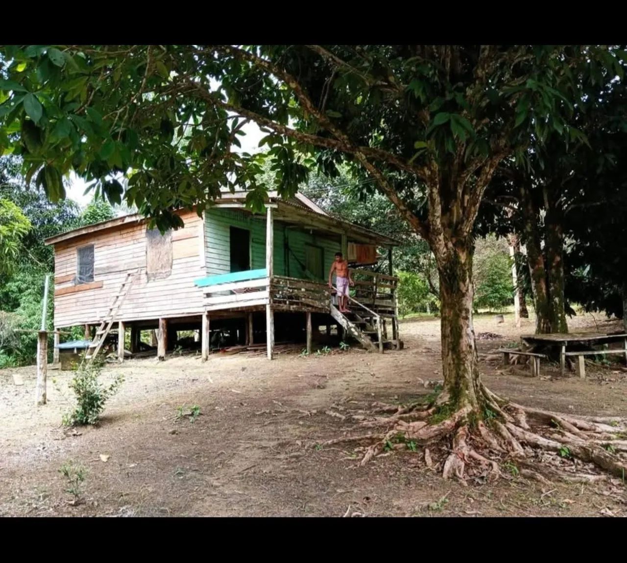 Sítio com vista para a natureza exuberante! - Foto 4