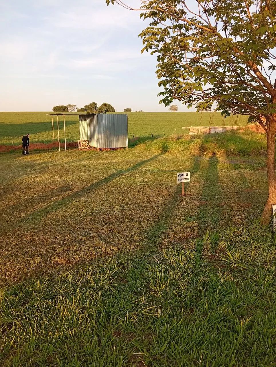 Foto - Mendonça - Residencial Park Borá III
