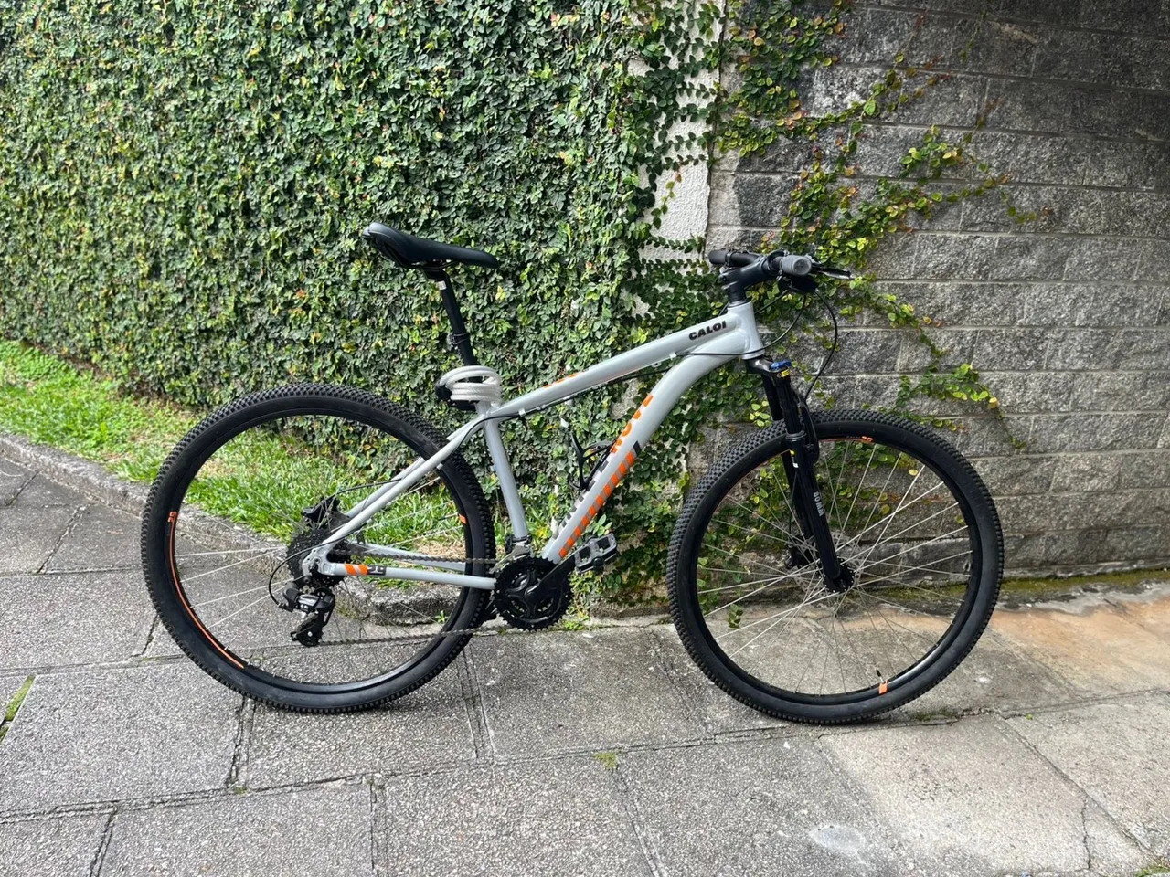 Bicicleta Caloi Vinte e Nove