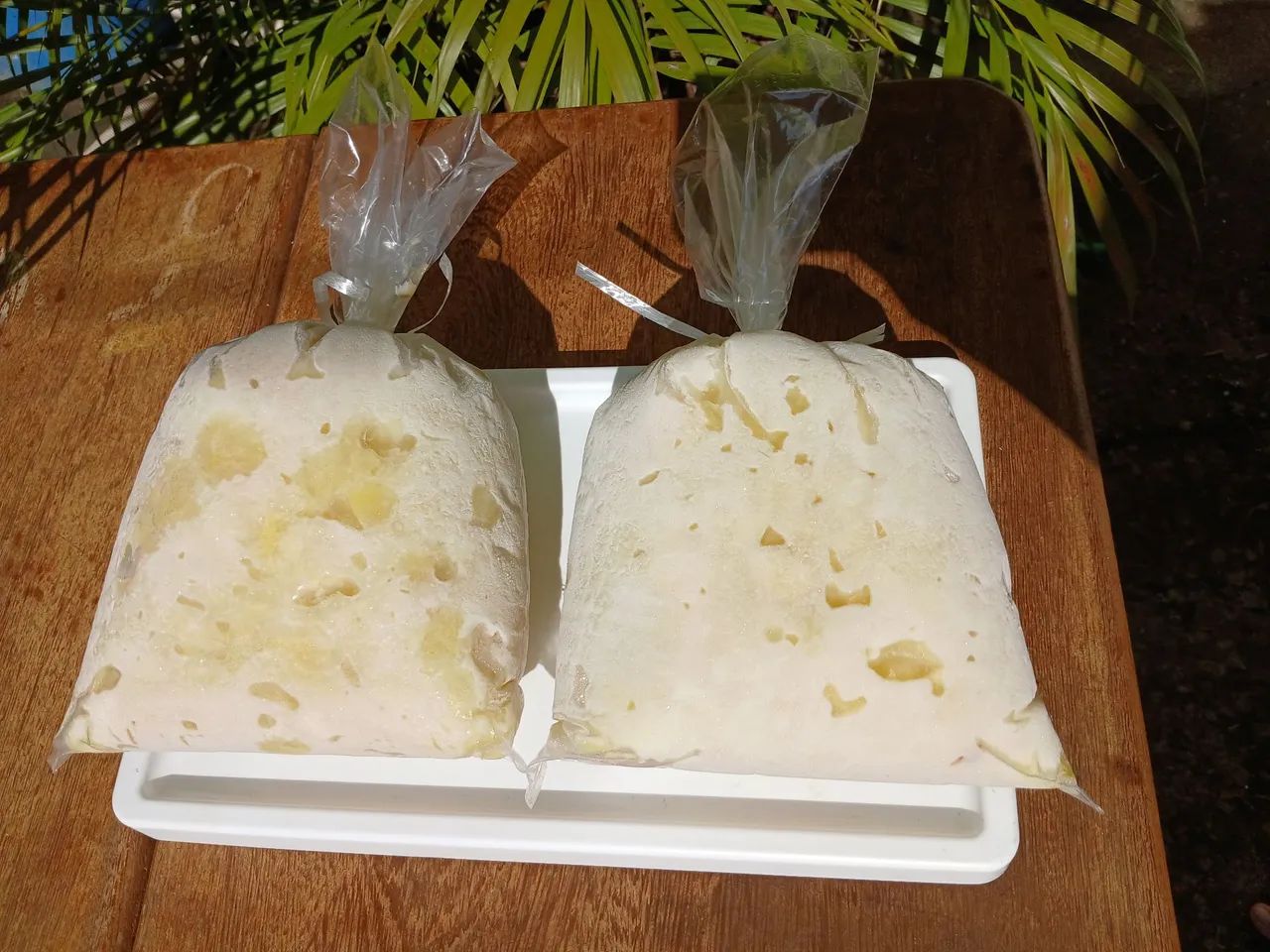 Cupuaçu 100% Natural retirada no local