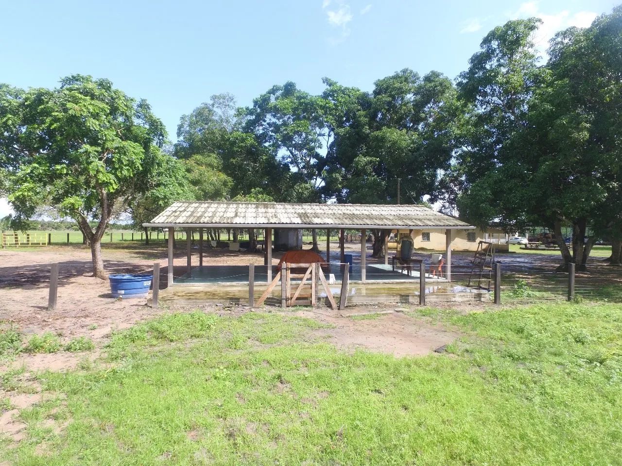 Fazenda 700ha em Cantá/RR - 260ha limpos, sede, curral, galpão e documentação em dia. - Foto 9
