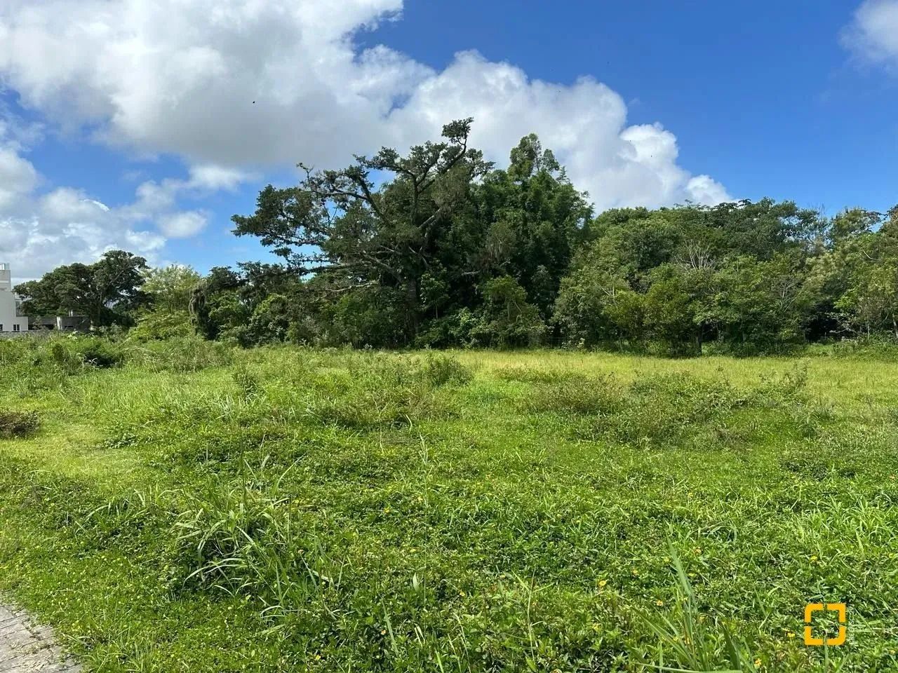 Terrenos Residenciais em Ribeirão Da Ilha - Foto 5