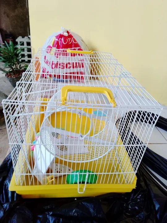 Gaiola Hamster Coelho Chinchila Porquinho Índia 