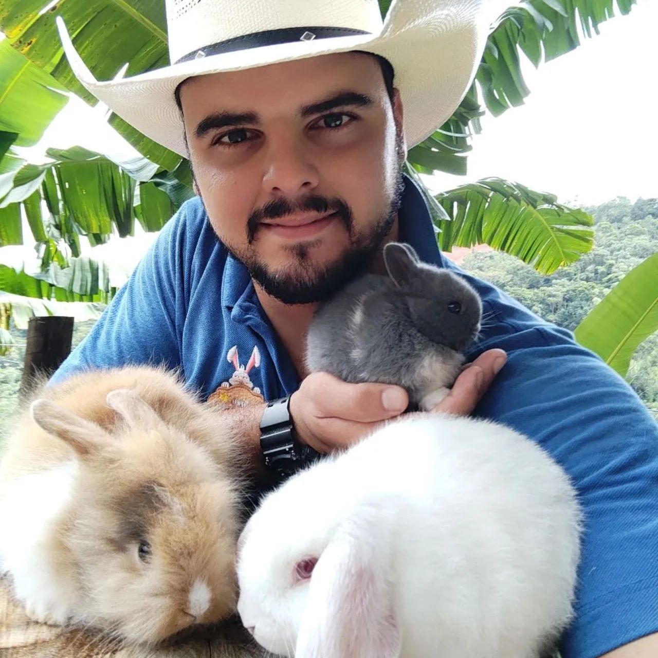 MAIOR e MENOR COELHO PET DO MUNDO - Foto 2