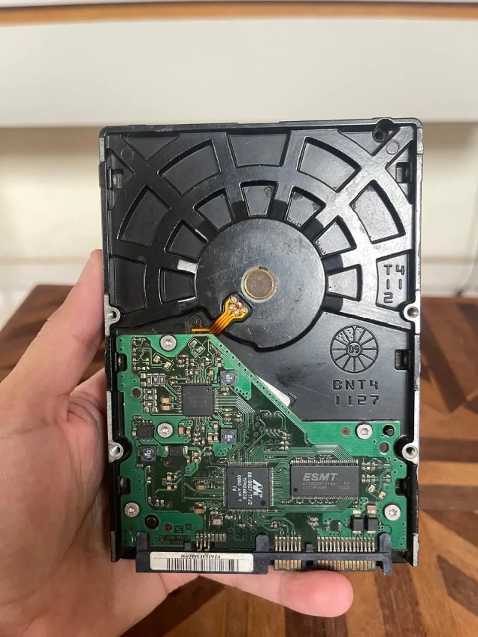 HD BARRACUDA 1 TB - SEM FOTO