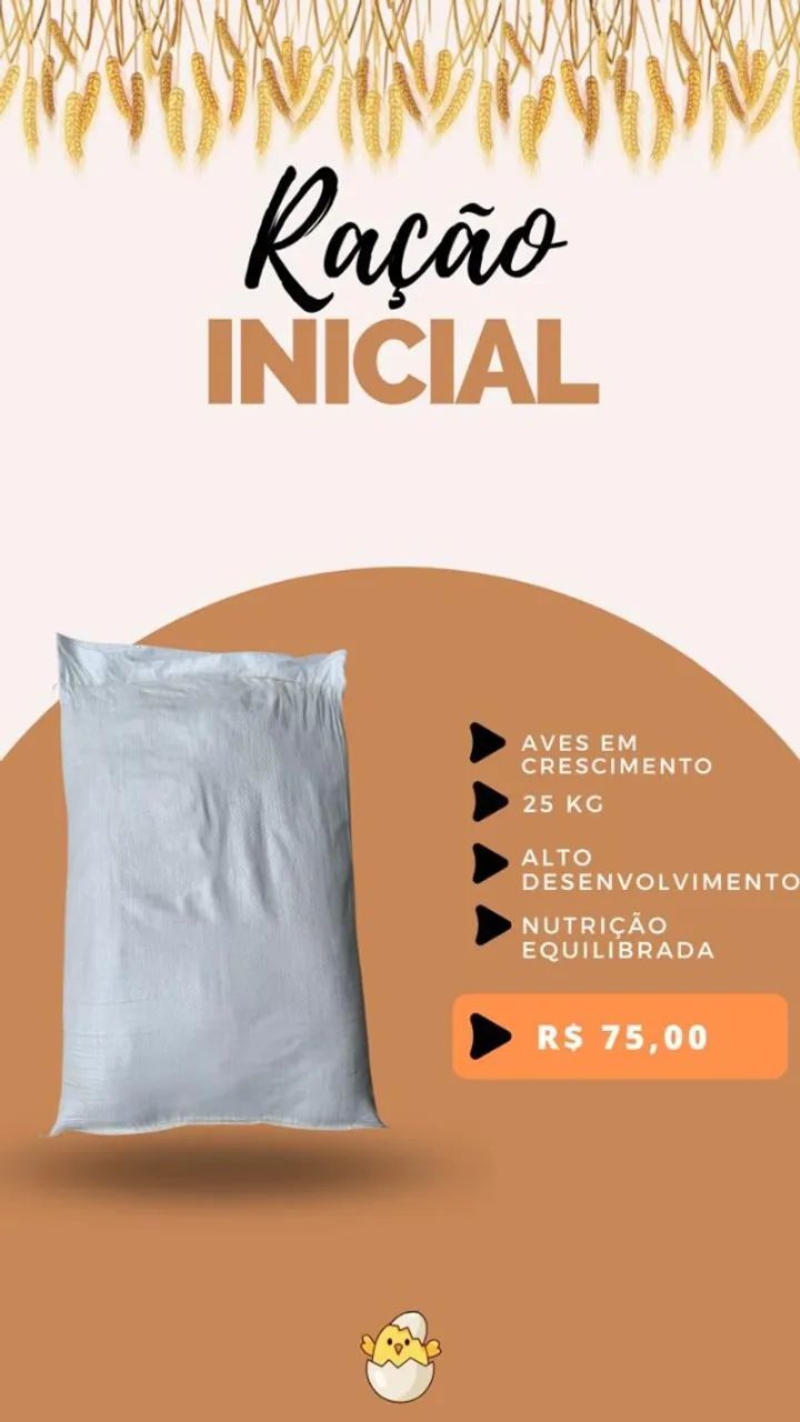Ração e Frangas - Foto 2