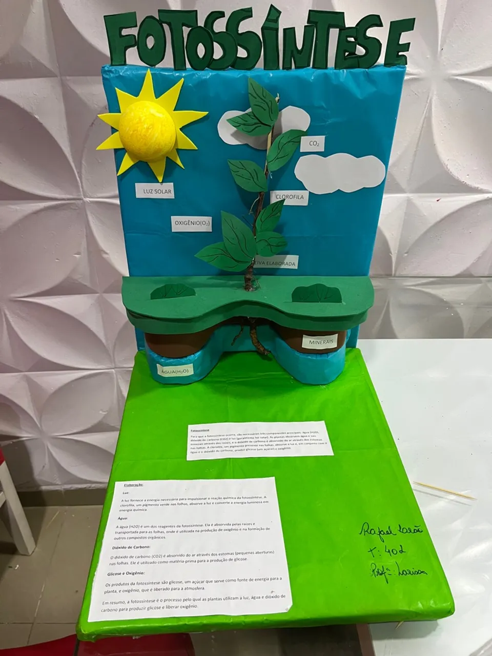 Maquete educativa sobre Fotossíntese