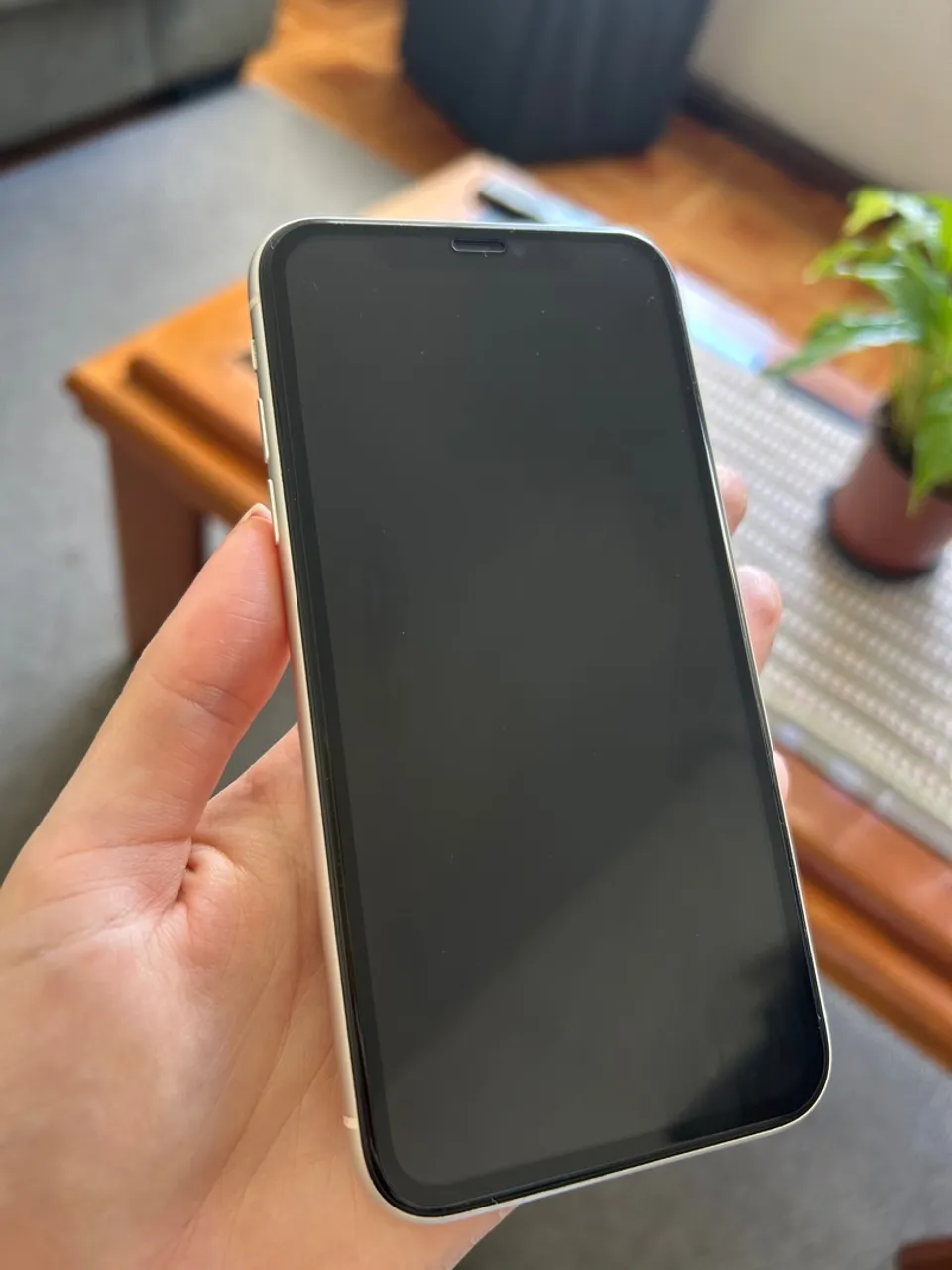 iPhone 11