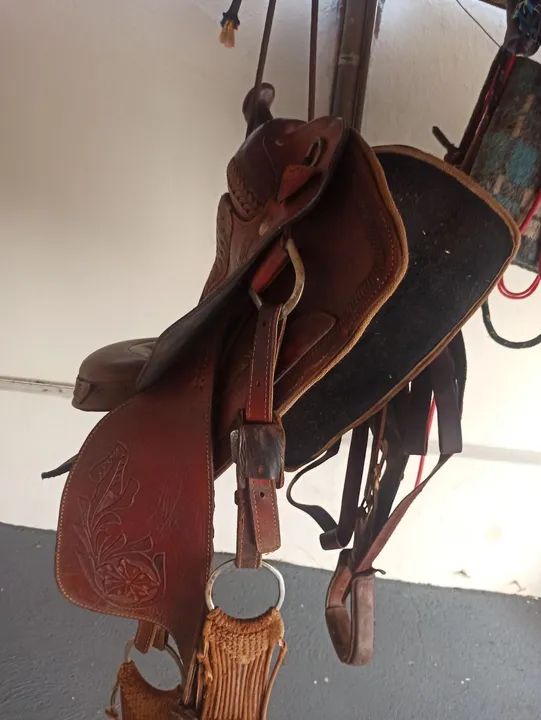 Cela pra cavalo  - Foto 5