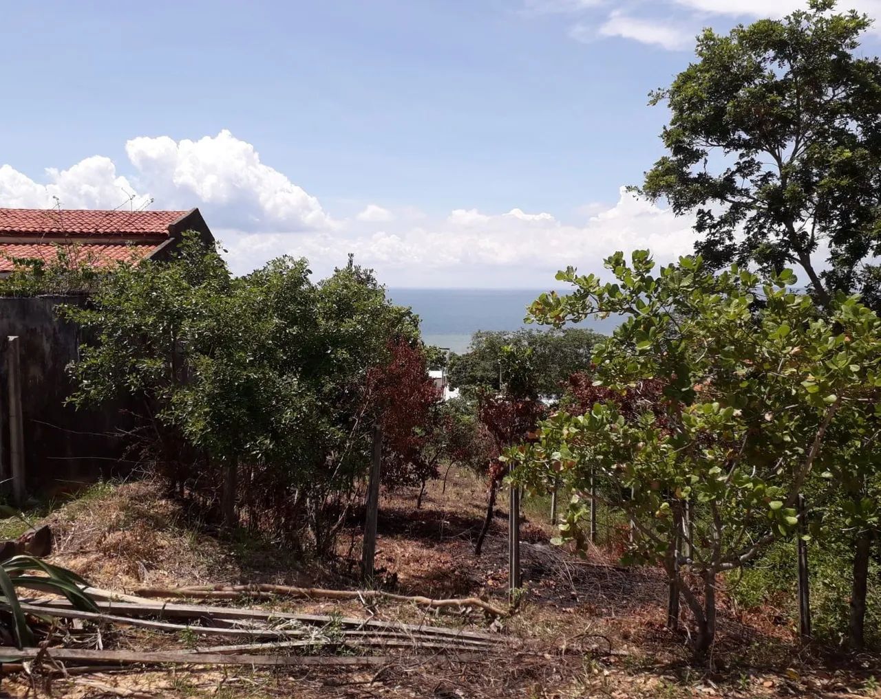 Vende se Terreno em Cabuçu  - Foto 4
