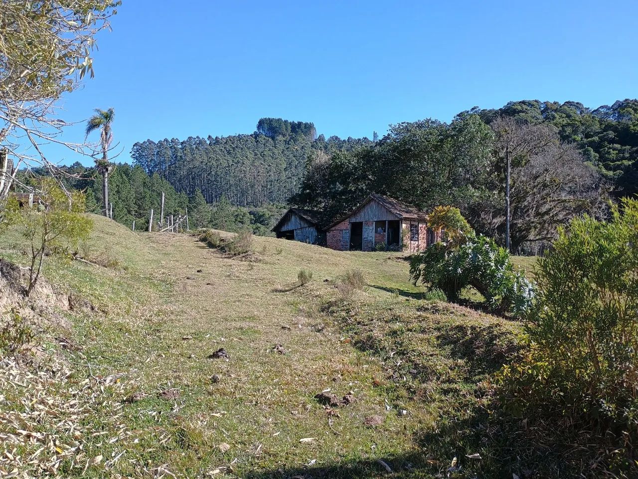 ANITÁPOLIS/SC - Lindo terreno com 28 hectares  - Foto 4