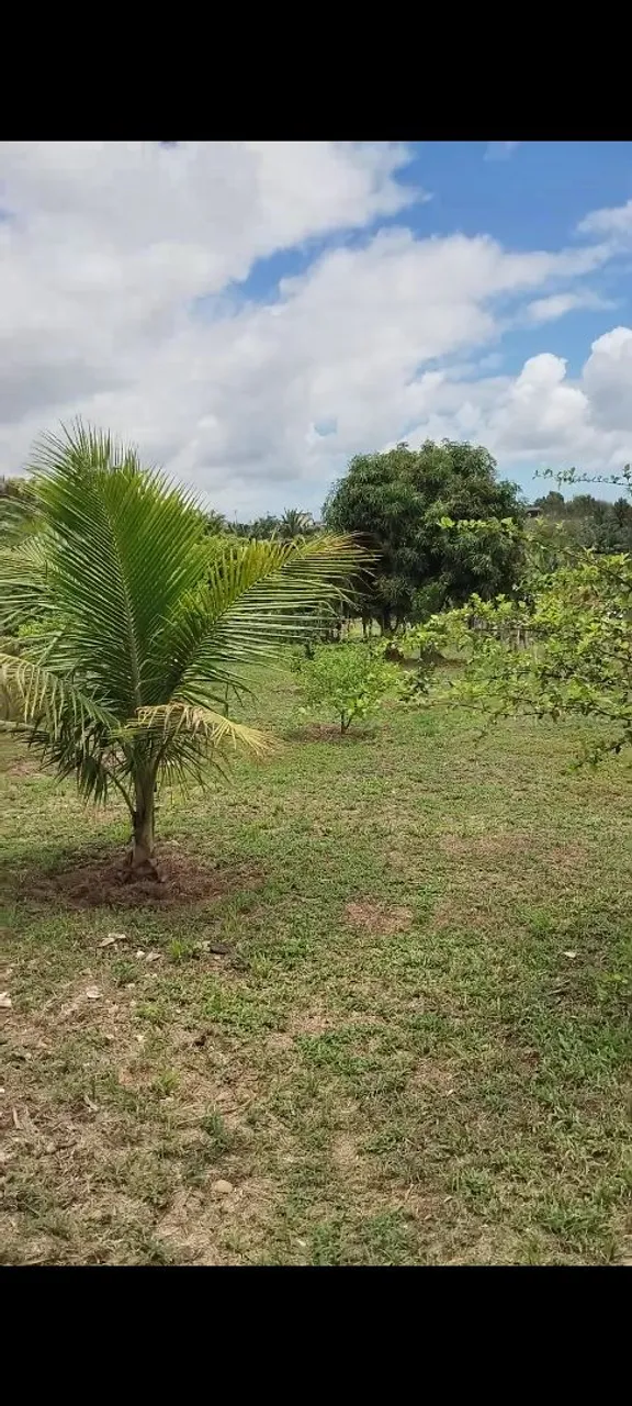 Vende-se terreno para sítio