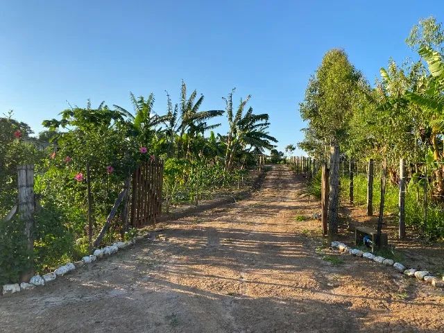 Foto - Angatuba - Área Rural de Angatuba