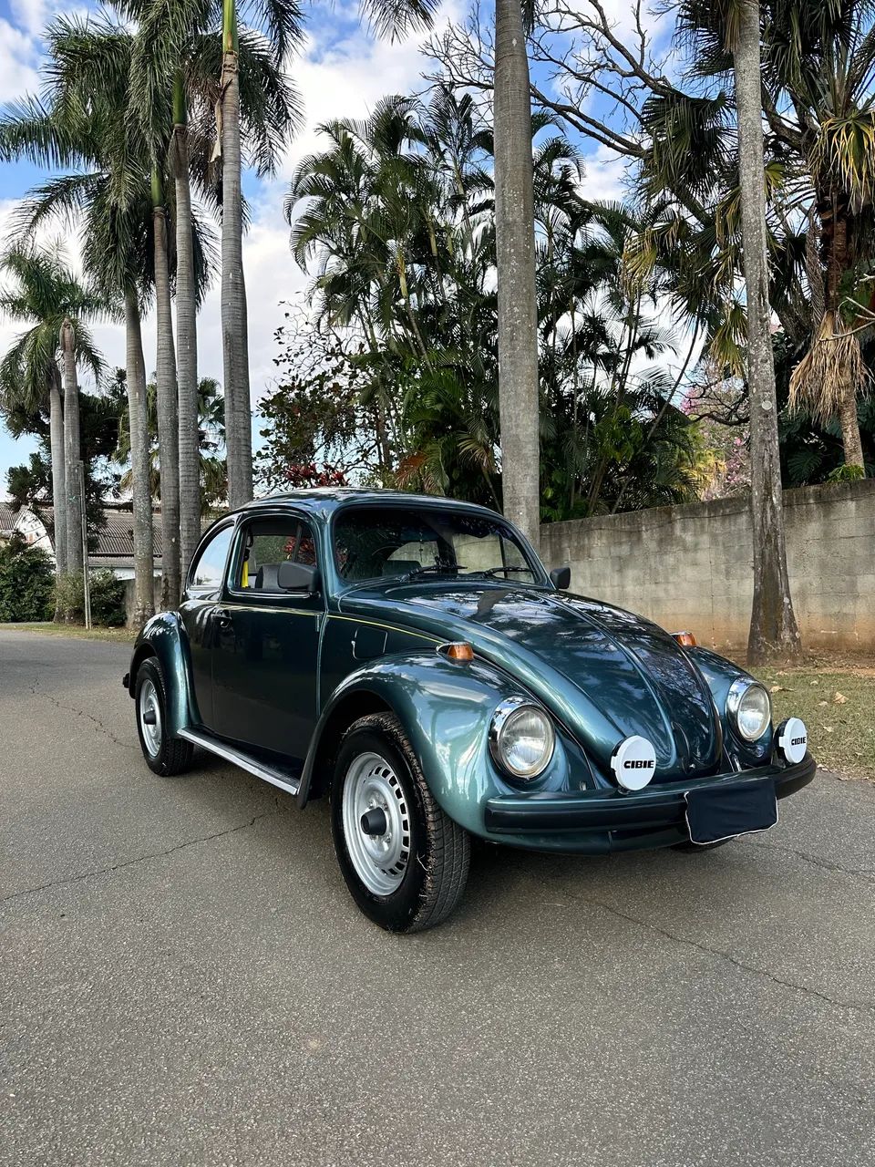 Volkswagen Fusca Fusca (gasolina) 1994