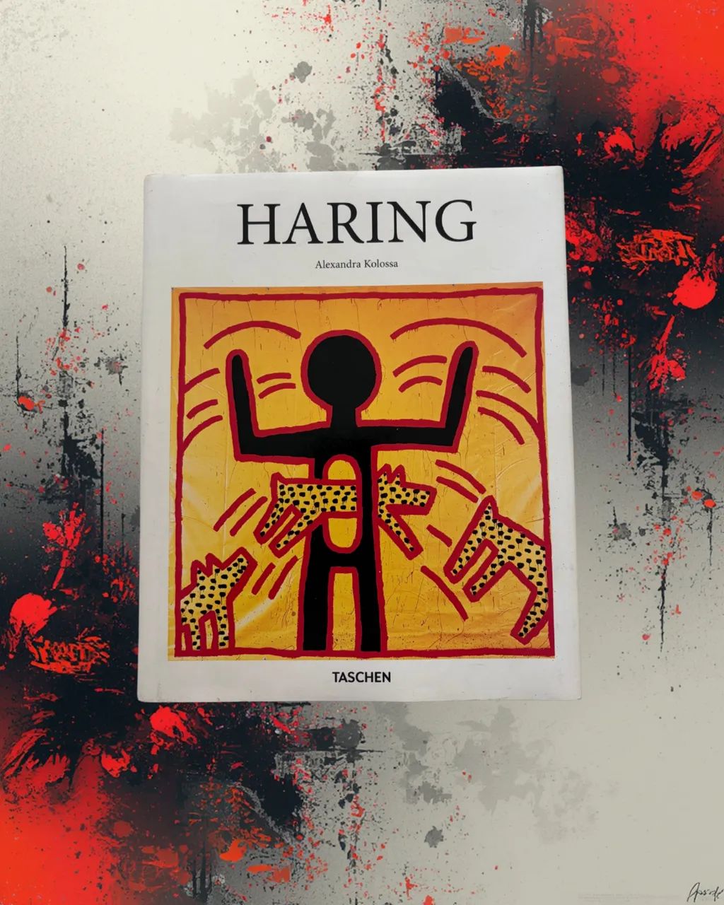 HARING - Alexandra Kolossa | Taschen