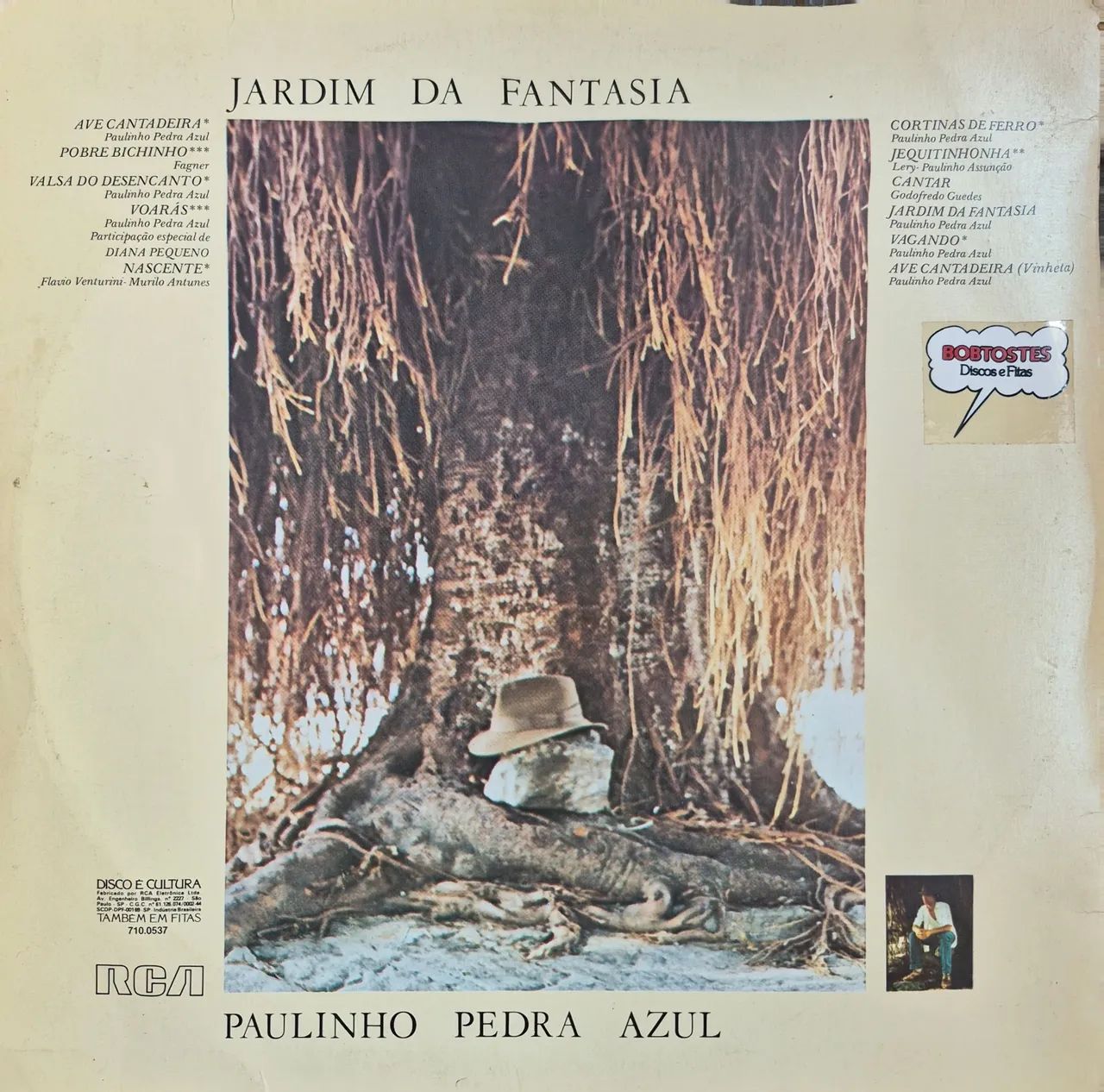 Coletânea 2 LP vinil Paulinho Pedra Azul - Foto 2