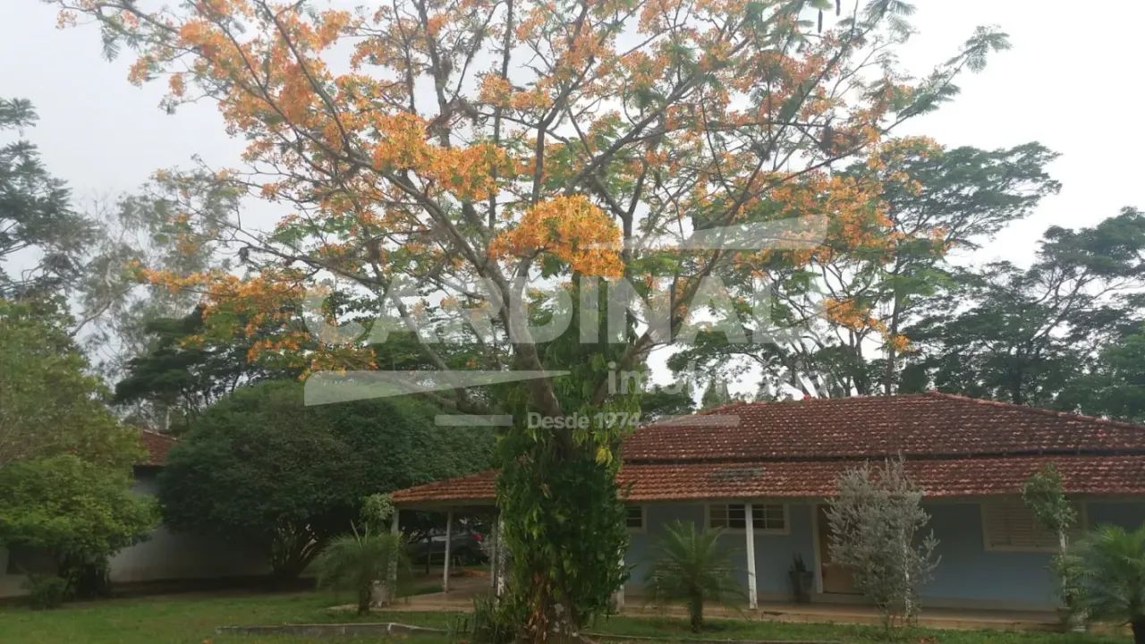 Rural Sítio em Ribeirão Bonito - Foto 2