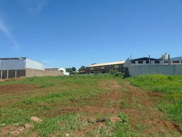 Terreno Padrão em Uberlândia - Foto 4